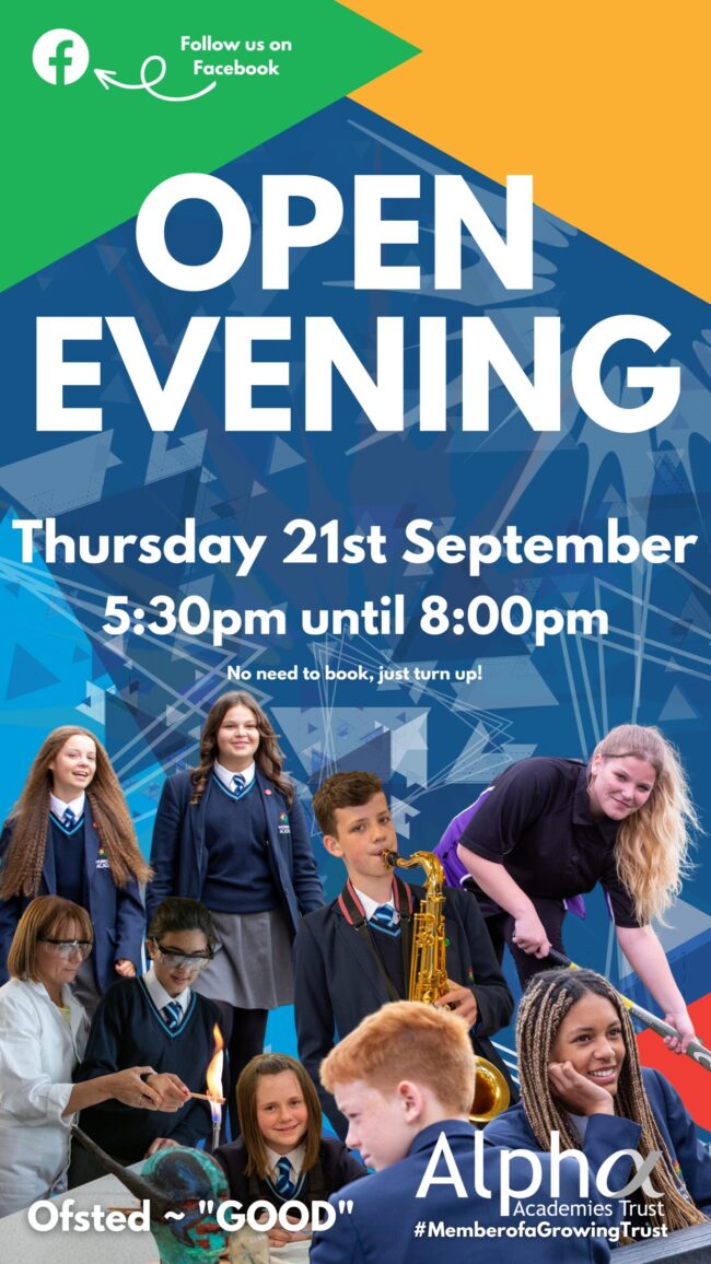 Open Evening 4k Vertical